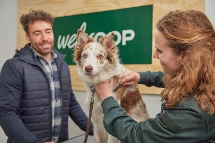 Advies in de winkel - hond